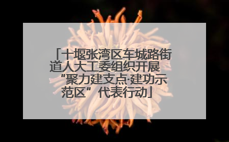 十堰张湾区车城路街道人大工委组织开展 “聚力建支点·建功示范区”代表行动